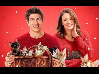 Девять рождественских котят (2021) the nine kittens of christmas (nine kittens of holidays)