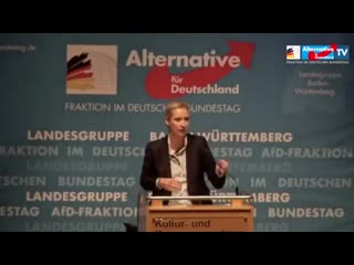 Geh nach hause zur mama! dr alice weidel (afd) schmeisst antifa vollpfosten aus dem saal