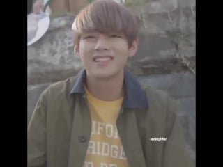 Taehyung, seokjin and hoseok being scared by insects