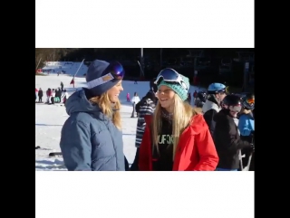 Torah bright mini shred