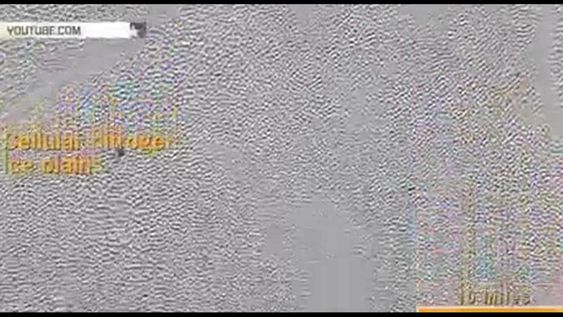 Nasa porn video – Nasa показало уникальные снимки поверхности плутона