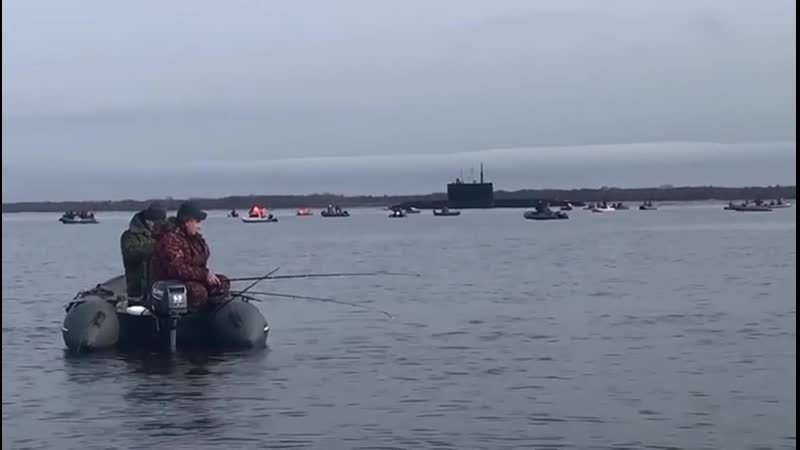 Корюшка пошла