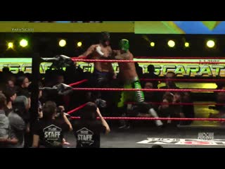 Wxw 16 carat gold 2019 tag 1