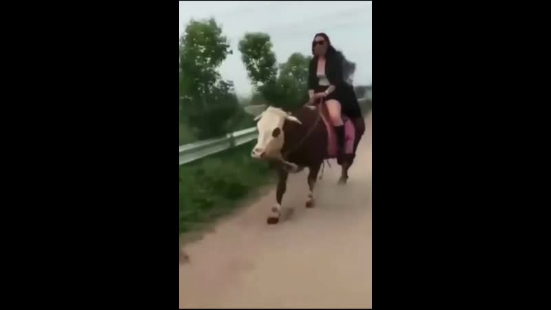 Лихая наездница)