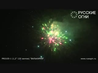 Pro105 1 валькирия (1,2x120)