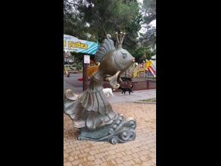 Vid 20200123 114617 mp4