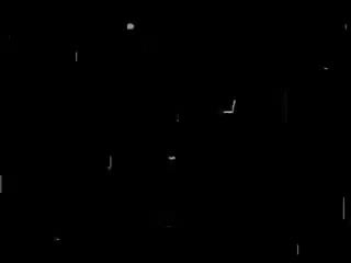 Miś push upek złota rybka ( push up teddy bear)