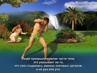 37 первородный грех