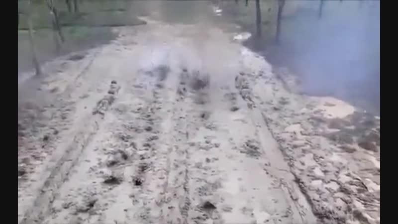 Тренирои силовых служб африки