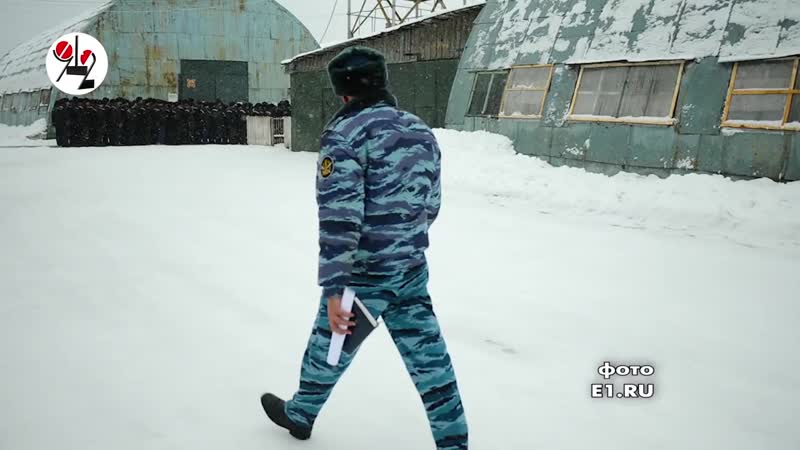 Тау колония лошагина блатные против козлов?