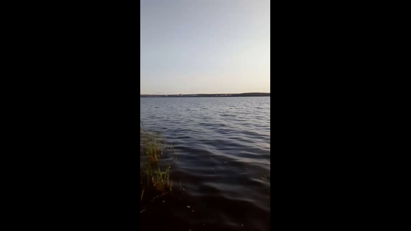 Live блог выход из зоны комфорта