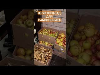 150 кг фруктов для самогона фруктосклад для дистиллятов #сливовица #кальвадос #банановыйликер