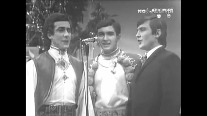 Червона рута