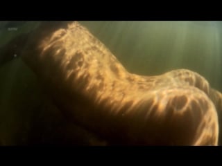 Tpornr sands, danielle rose nude picture of beauty (uk 2017) 1080p web