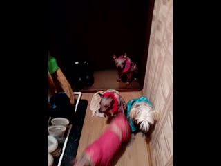 Trim 20200101 221212 mp4