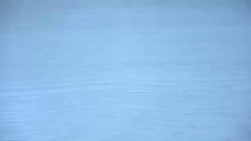 X porno net harizmatichnaya blondinka s dlinnymi volosami i glubokoi glotkoi sofi dostavlyaet udovolstvie ee mujchina mp4