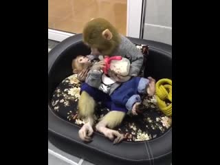 Мамуличка! ツ
