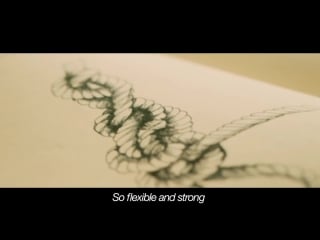 Ylvis truckers hitch