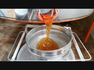 Качка мёда 2018