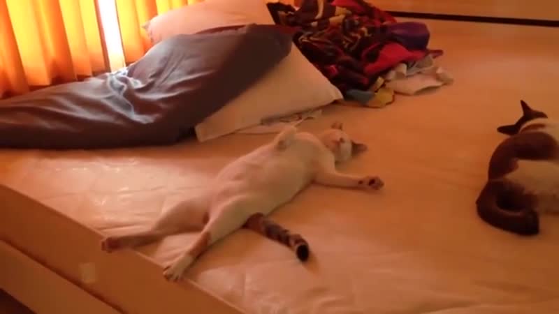 Сверло (vhs video)