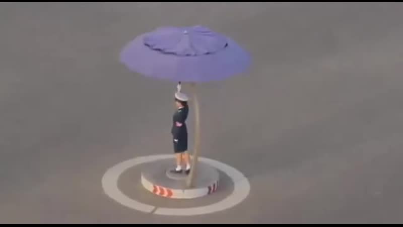 Северная корея девушка целый день стоит и регулирует пустой перекресток хорошо хоть зонтик ей поставили