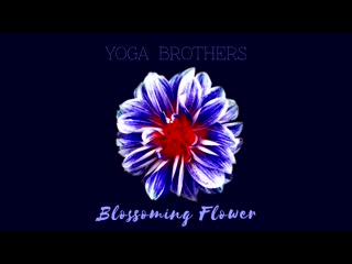 Yoga brothers blossoming flower