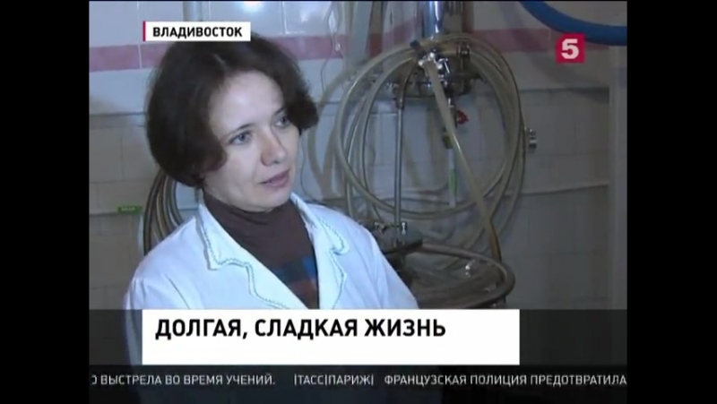 В приморье синтезировали вещество, которое способно продлить жизнь