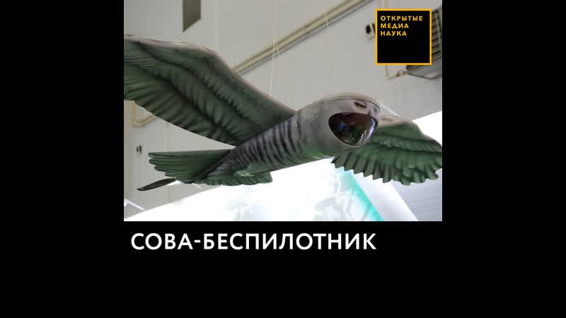 Сова беспилотник