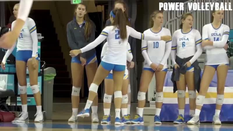 Craziest players in volleyball history (hd)
