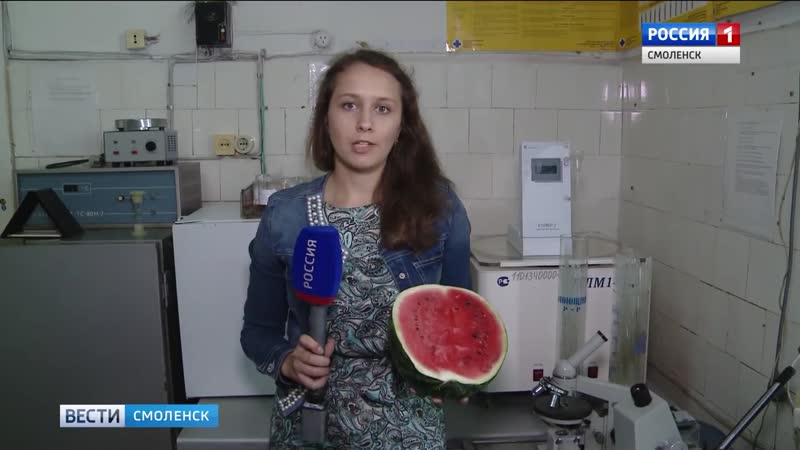 На смоленские рынки поступили первые отечественные бахчевые