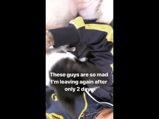 @rubyrose via insta story (19 april)