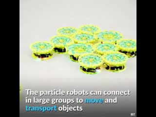 These computational robots can collaborate with each other to move and transport objects 🤖