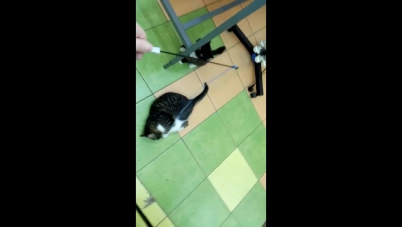 Маруська, ночка и тася играют