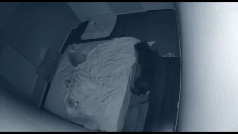 Когда всей семьёй мирно спали, пока батя не упал с кровати