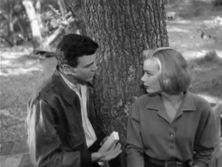 Stakeout on молодые street (1958)