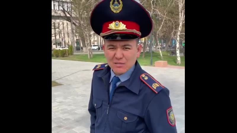 А кумыс можно пить за рулём