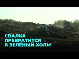 Свалку возле пашино ликвидируют