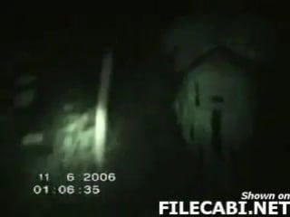 «падший ангел» в лесу