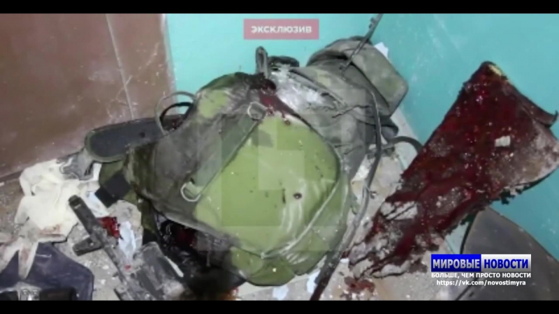 Лайф публикует первое видео с места молодые моторолы