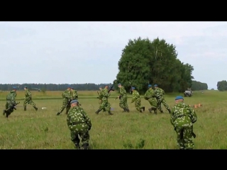 Реальный бердск день вдв 2014