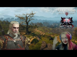 Зачищаем велен! the witcher 3 wild hunt