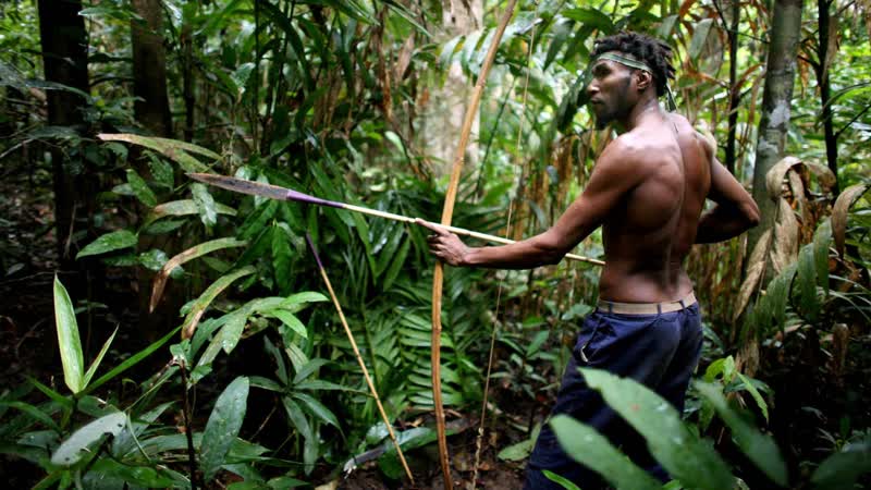 В джунглях амазонки 🐒🦧🦥🐍 ► смелый мужик ◄🐍🦥🦧🐒