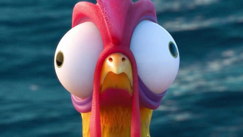 Моана дисней петух хей хей узнает что он в открытом океане отрывок из мультфильма moana disney сша