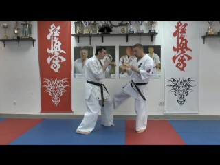 Wfko «impact stream» kumite shihan alexei gorokhov lesson 1