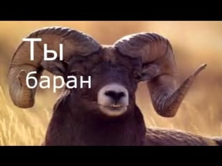 Gta san andreas ак 47 ты олень тупой иди ты нахуй ты баран слепой иди ты нахуй ты осёл глухой иди ты нахуй ты еблан такой пошёл