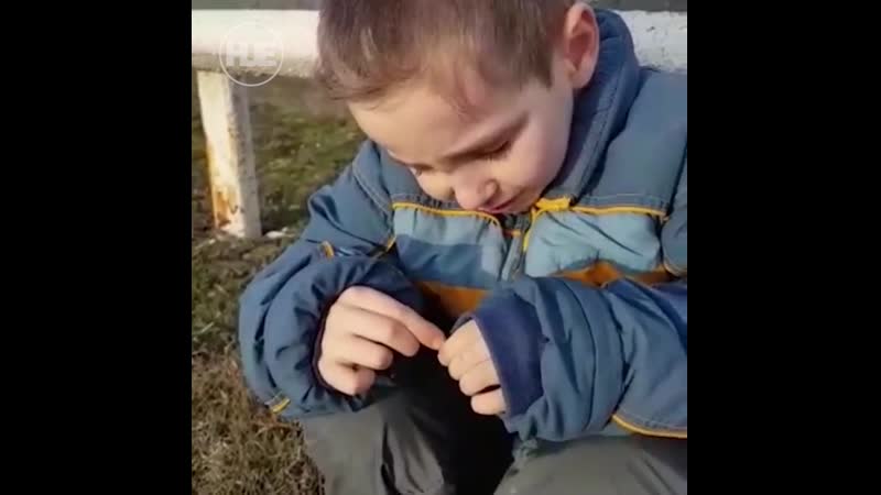 Зоозащитница ехала спасать сбитую молодые, а нашла на трассе бесхозного 18 летнего мальчикаребенка нашли на трассе