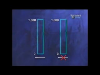 О сексе обрезание