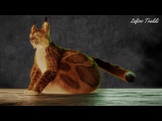 Videoplayback (2) webm