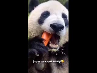 G anastasia s 20201117 28 mp4