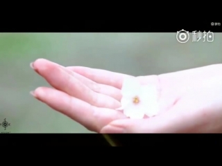 Write to you // mu ziyang [fmv]